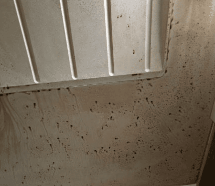 화장실 니코틴제거