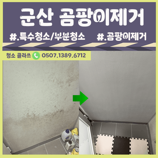 군산청소업체 / 곰팡이제거를 완벽하게 ~