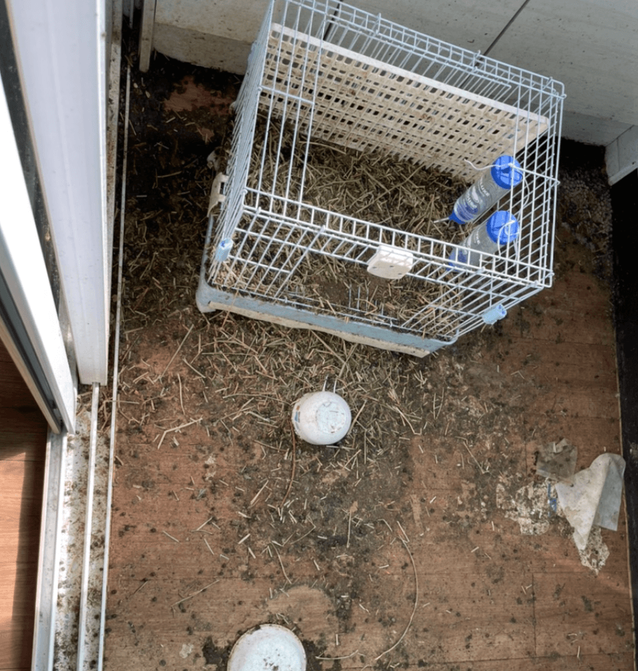 특수청소 — 작업 전